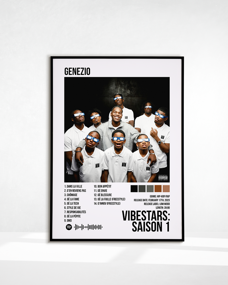 VIBESTARS : SAISON 1