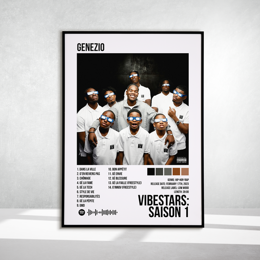 VIBESTARS : SAISON 1